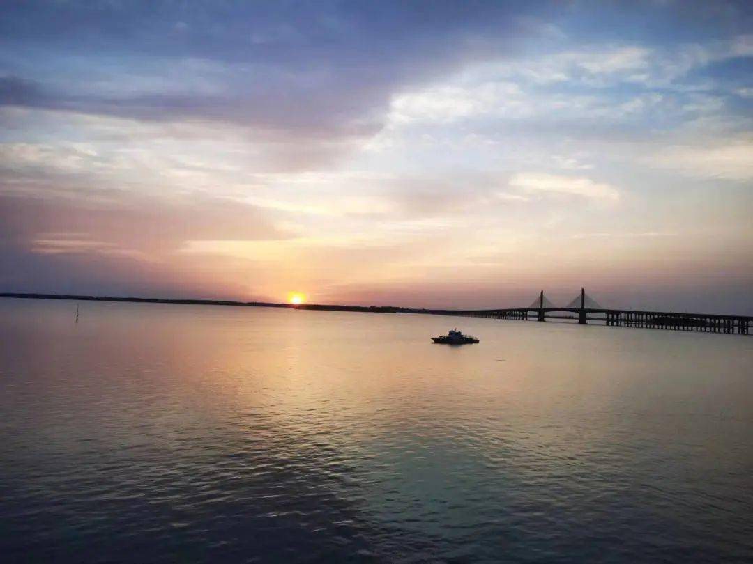 第四天:参观素有"安徽的港珠澳大桥"美誉的"瓦埠湖大桥".