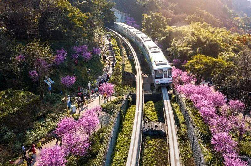 重庆人_会馆_解放碑