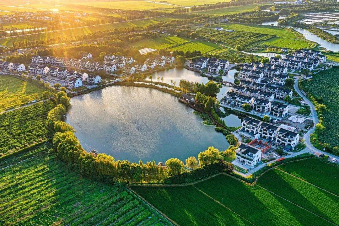 美在锦淀周(6)||透过烟雨深处,俯看江南水乡春的底色_摄影家协会_征集