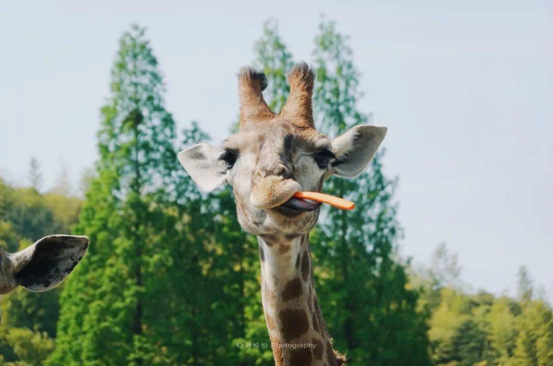 7815这次我们给大家带来了新店开业首发钜惠套餐:2