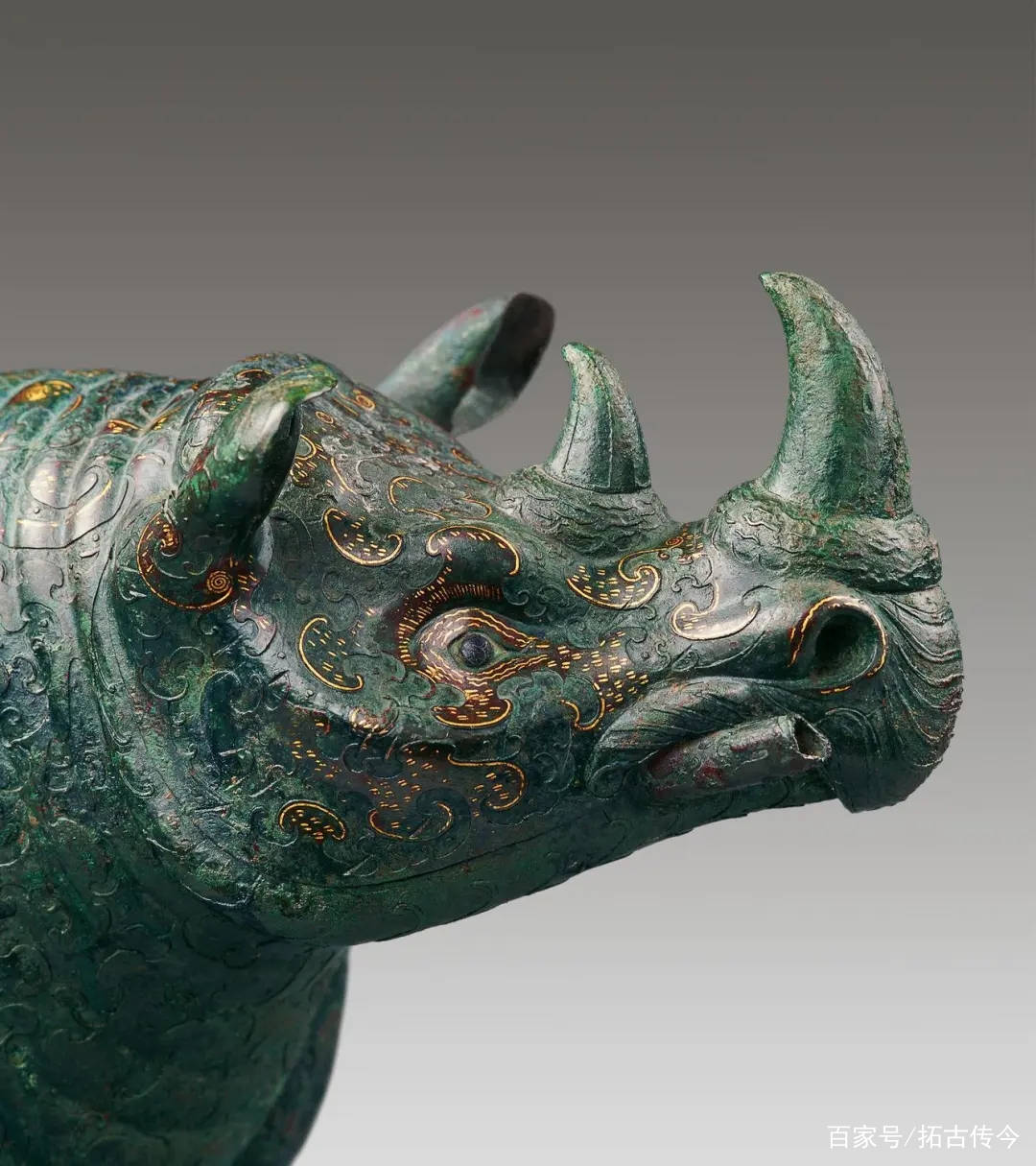 熠熠生辉的犀牛尊，揭秘中国古人与犀牛的过往_手机搜狐网