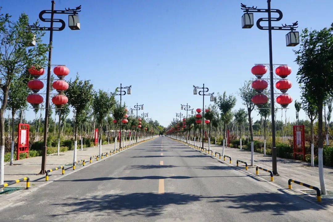 礼贤镇_文明_街道