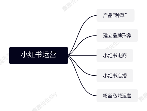 雷泽体育官网小红书筹划团队构造架构计算规划(图1)