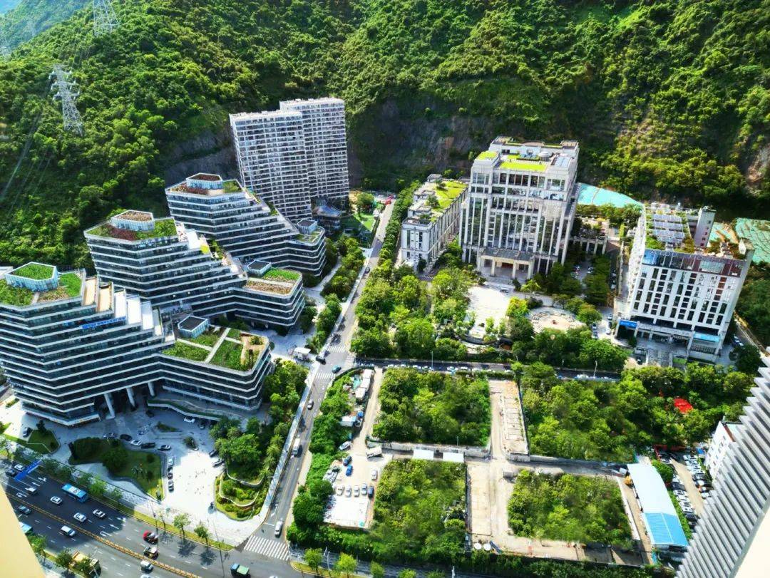 高质量发展调研行丨盐田大百汇生命健康产业园:破译基因密码 垒砌生命