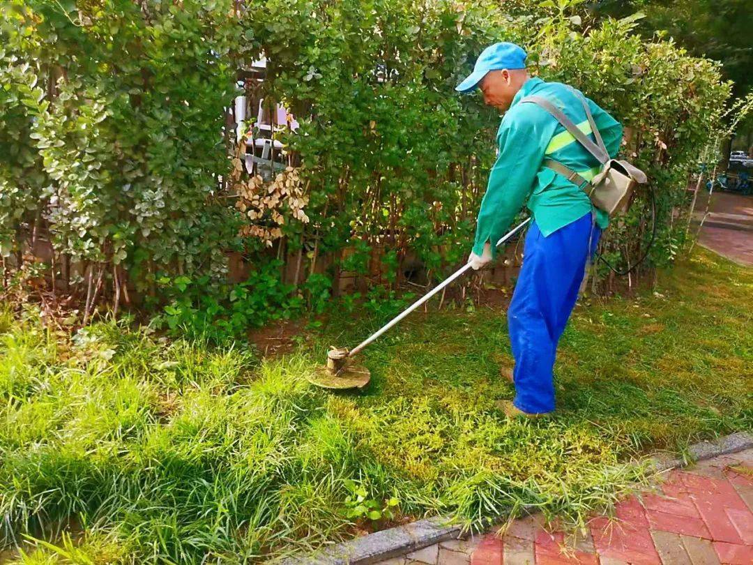 城管在行动 长安区绿化管护队雨后除草护绿忙 养护工作不懈怠