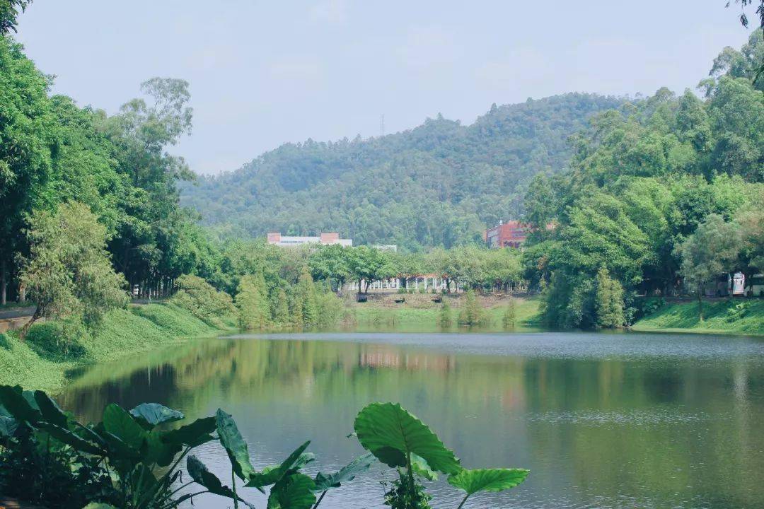 肇慶醫學高等專科學校推進學校“專升本”_廣東工程職業技術學院分數線_廣州番禺職業技術學院申報本科層次職業教育