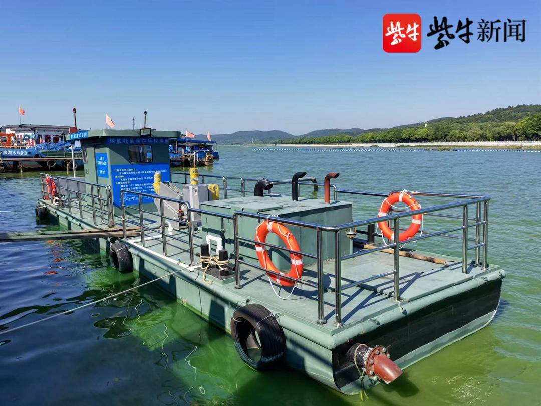 给蓝藻做“绝育手术”！扬大这一研发技术，“绝”了_丛海兵_加压_繁殖