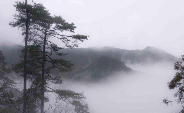 名山奇树怪池，天目山上榜中华十大名山，理由在这里！