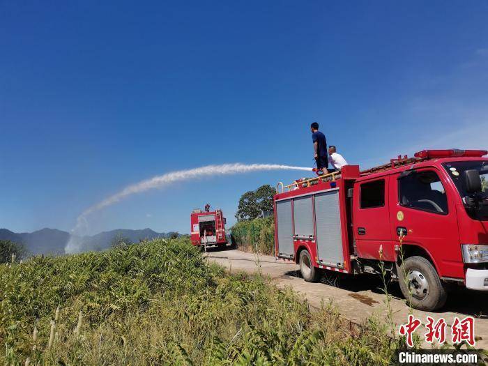 多地旱情引关注，会引发粮价、菜价上涨吗？