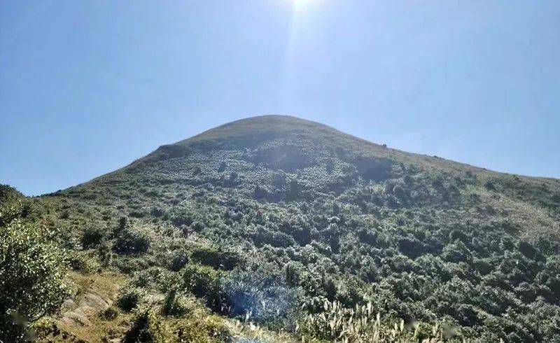 云浮大云雾山风景区图片