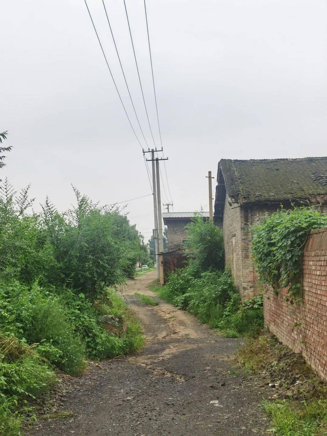 敬个礼,问候清晨_季节_面的_煤渣路