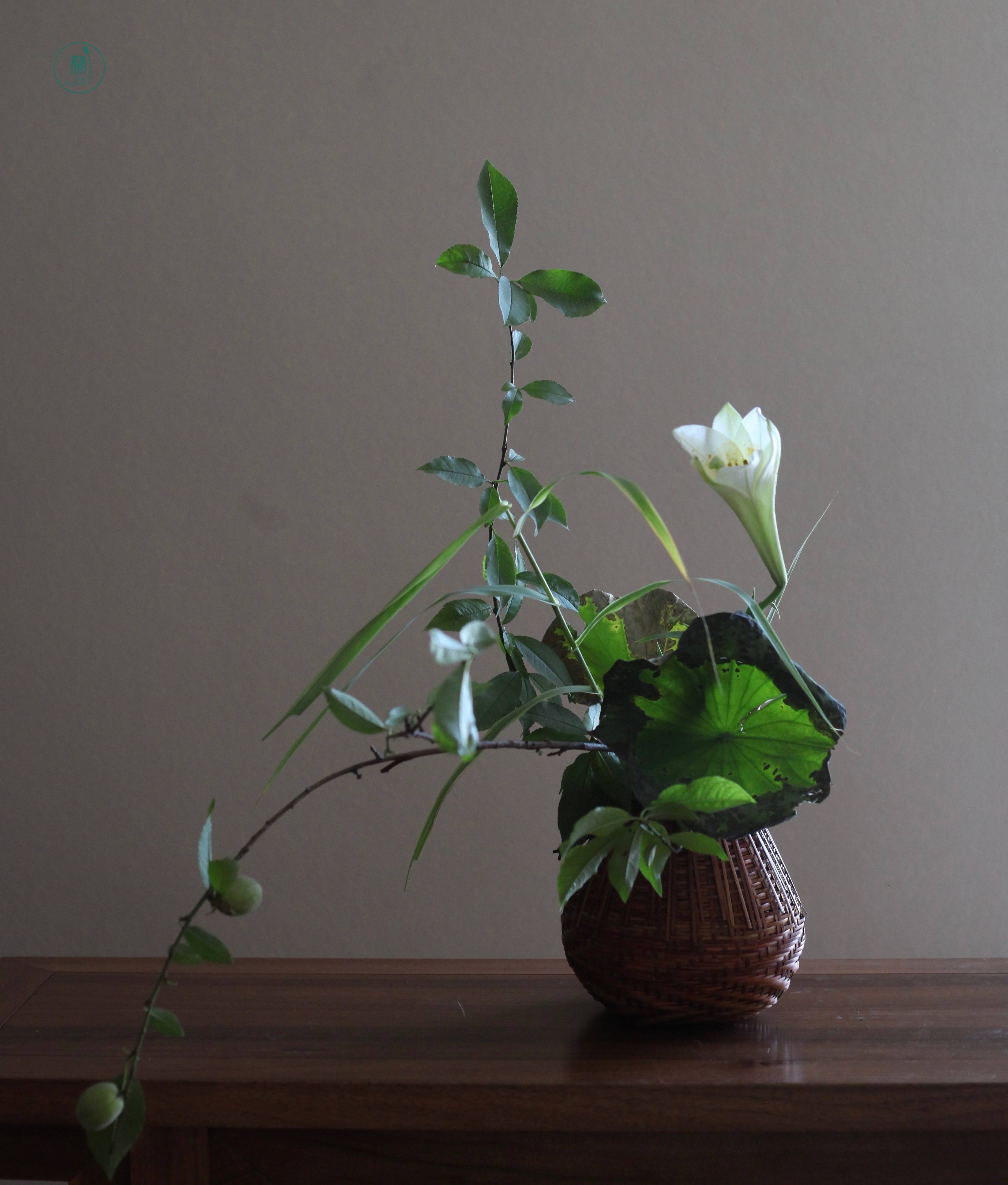 西安插花培训|蘭印象小原流花道教室#花道课