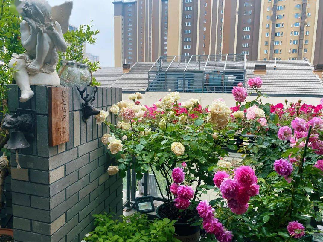 花2万元,改造25㎡别墅露台,这么漂亮的屋顶花园,有撩到你么?