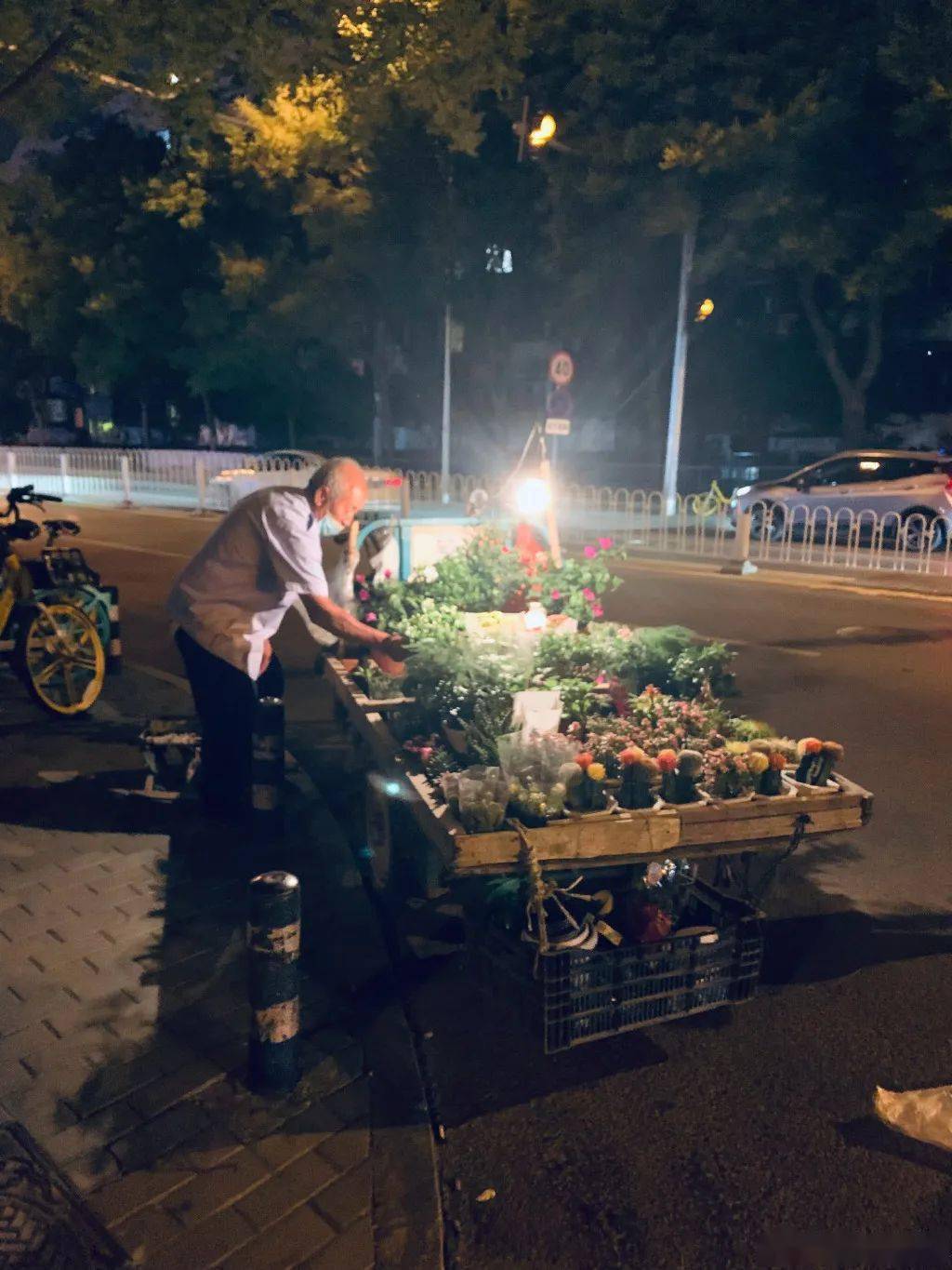 卖花人_杭州_城市