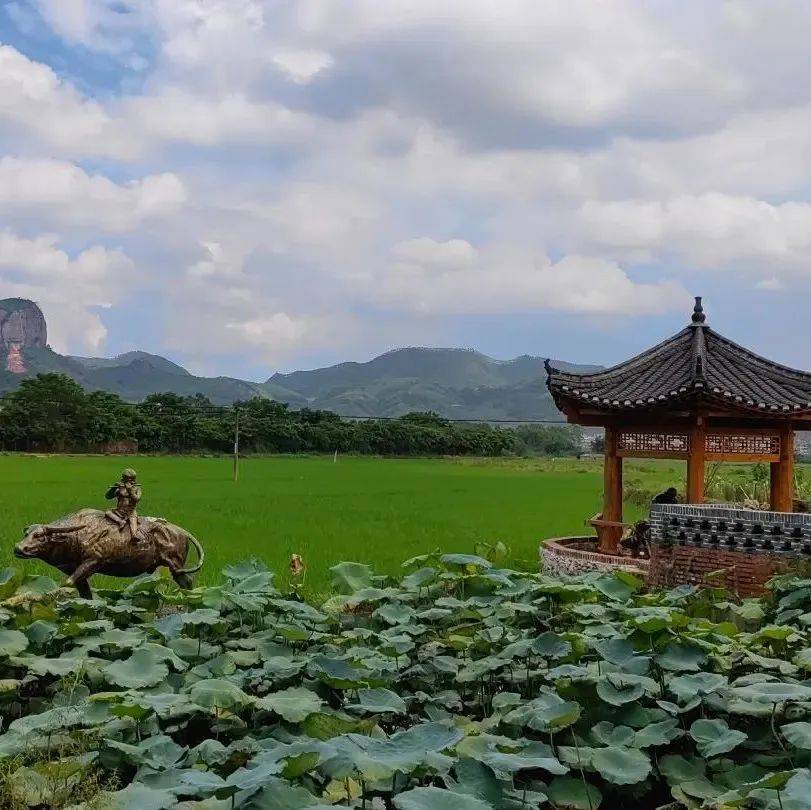 到北流丰村走走！在田园诗意中感受农耕文化_生活_人们_场景