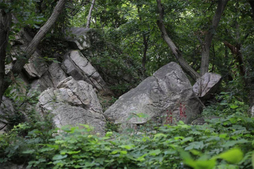 优惠来"大圣老家"耍起来哦来源:连云港花果山风景区《港城365》微信