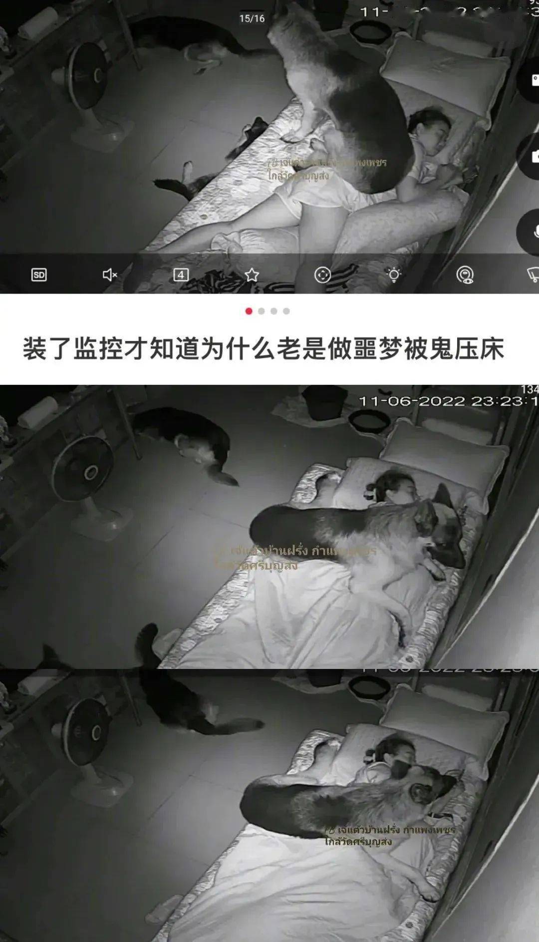 毫无违和感‍人仰狗翻能用gif说的事咱别瞎bb