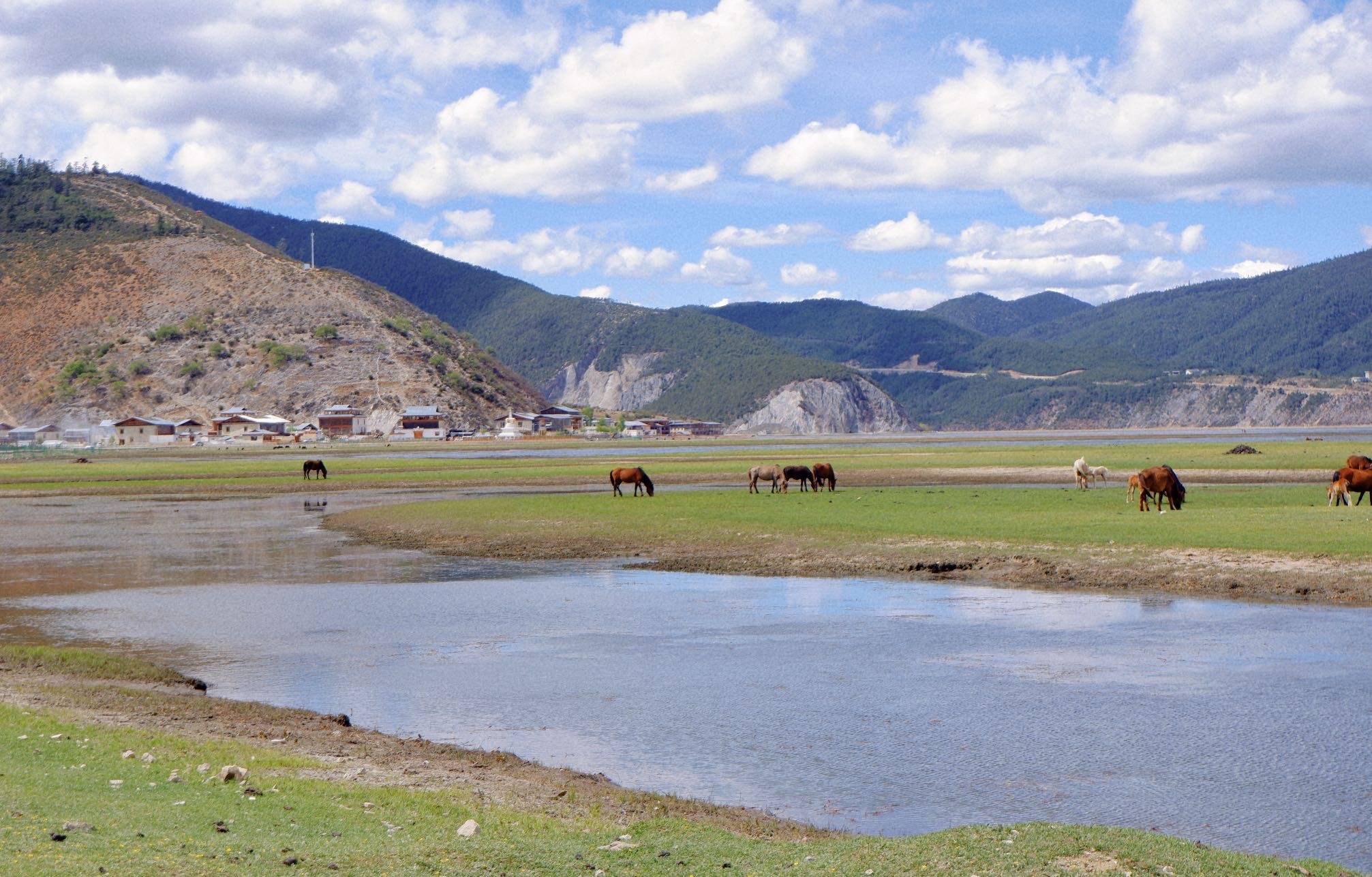 雪山草原像极了西藏,却不容易高反_香格里拉_风土人情_青藏高原