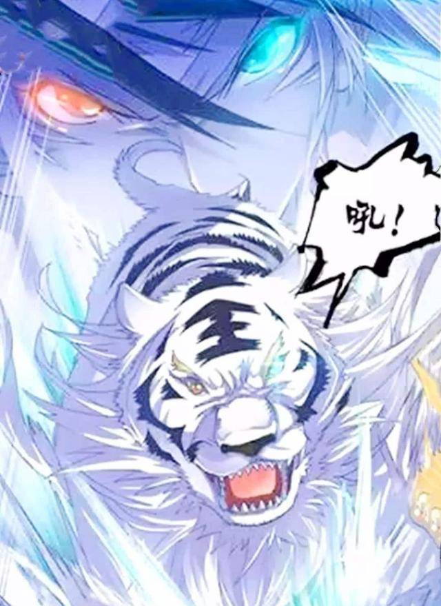 斗罗大陆猫类武魂排名,第一拥有6种属性,其中四个拥有神级血脉_黄金