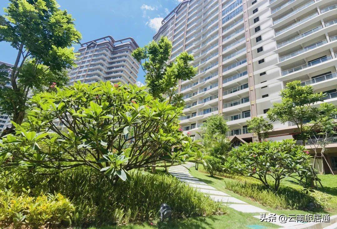 谁说现房都是别人挑剩的,西双版纳阅蓝山实景现房来啦_生活_建筑_雨林