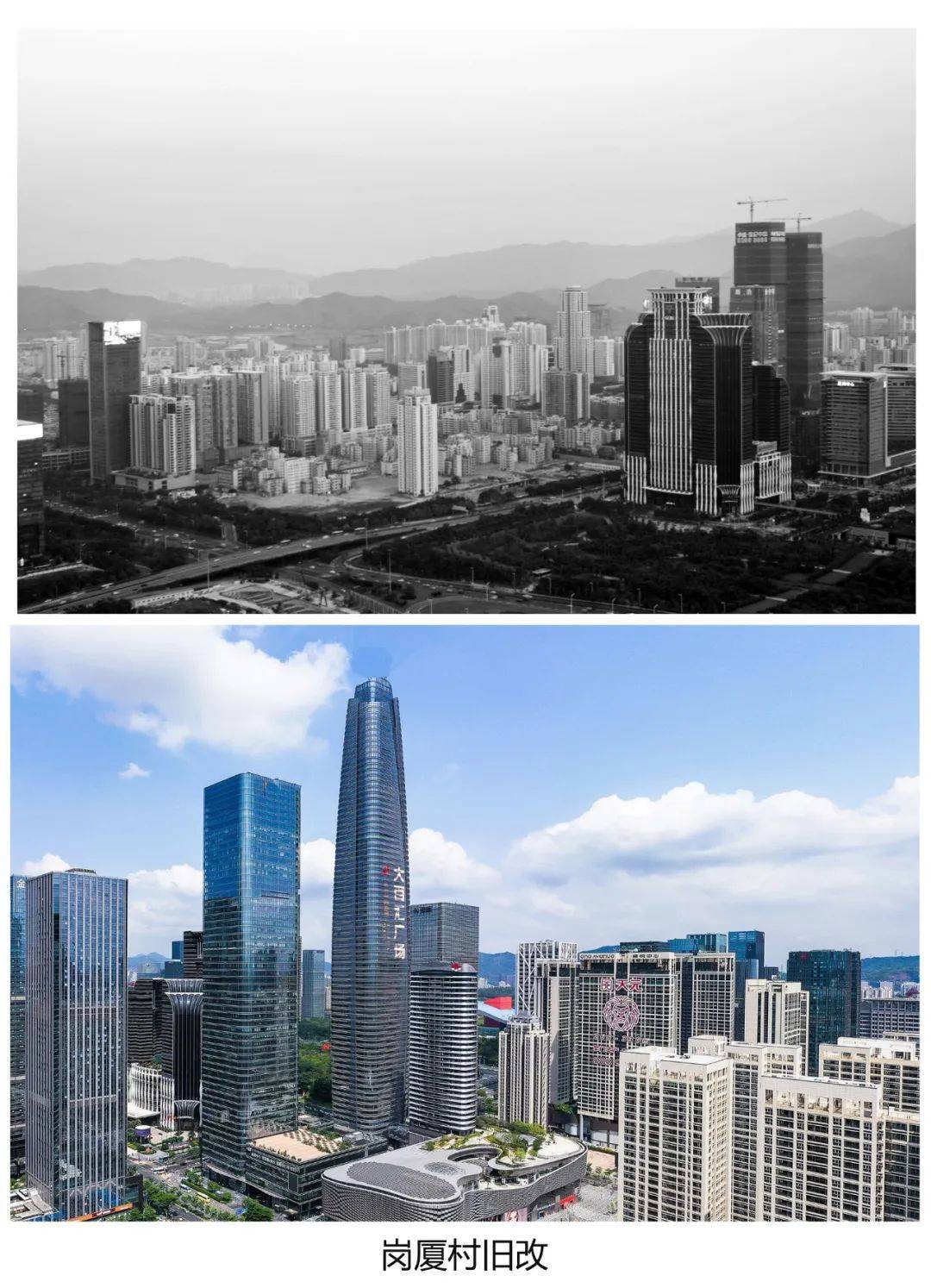 卓越荣耀 | 卓越集团荣获乐居财经年度论坛两项大奖_地产_行业_产品