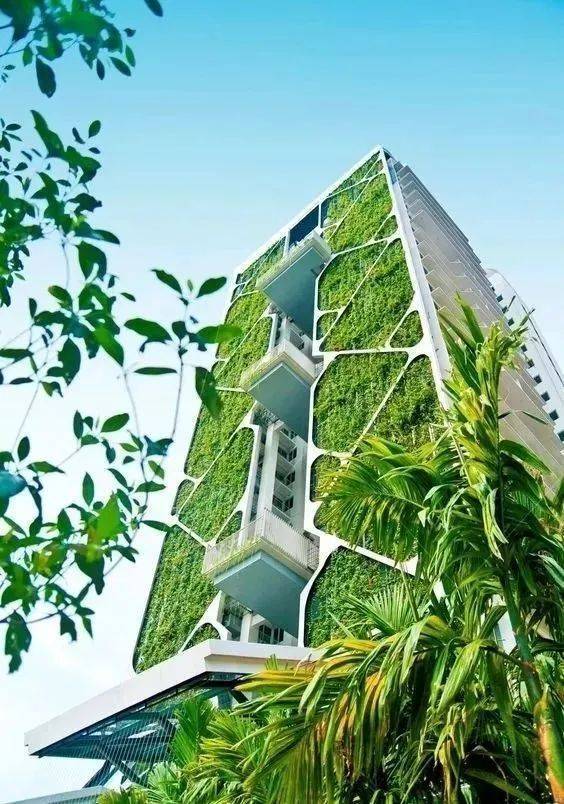 超高层建筑的垂直绿化空间打造_高中庭_种植_植物