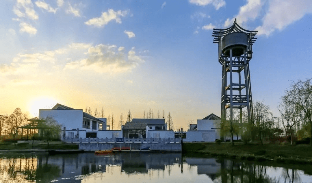 海盐这个村排名全市第一!是你们村吗?_金星村_景区_乡村