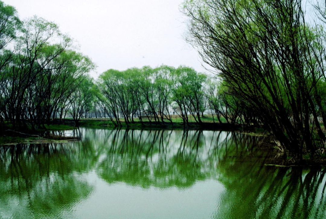 扬州这里真美.,打造,"好产业"!_大运河_生态_华丰村