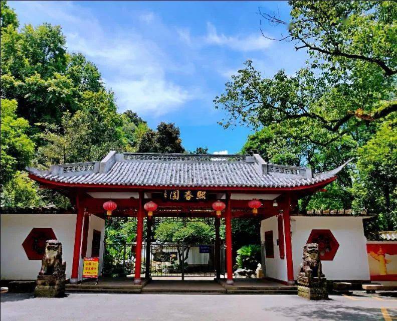 呼吸森林,醉氧邵武,溪水潺潺等