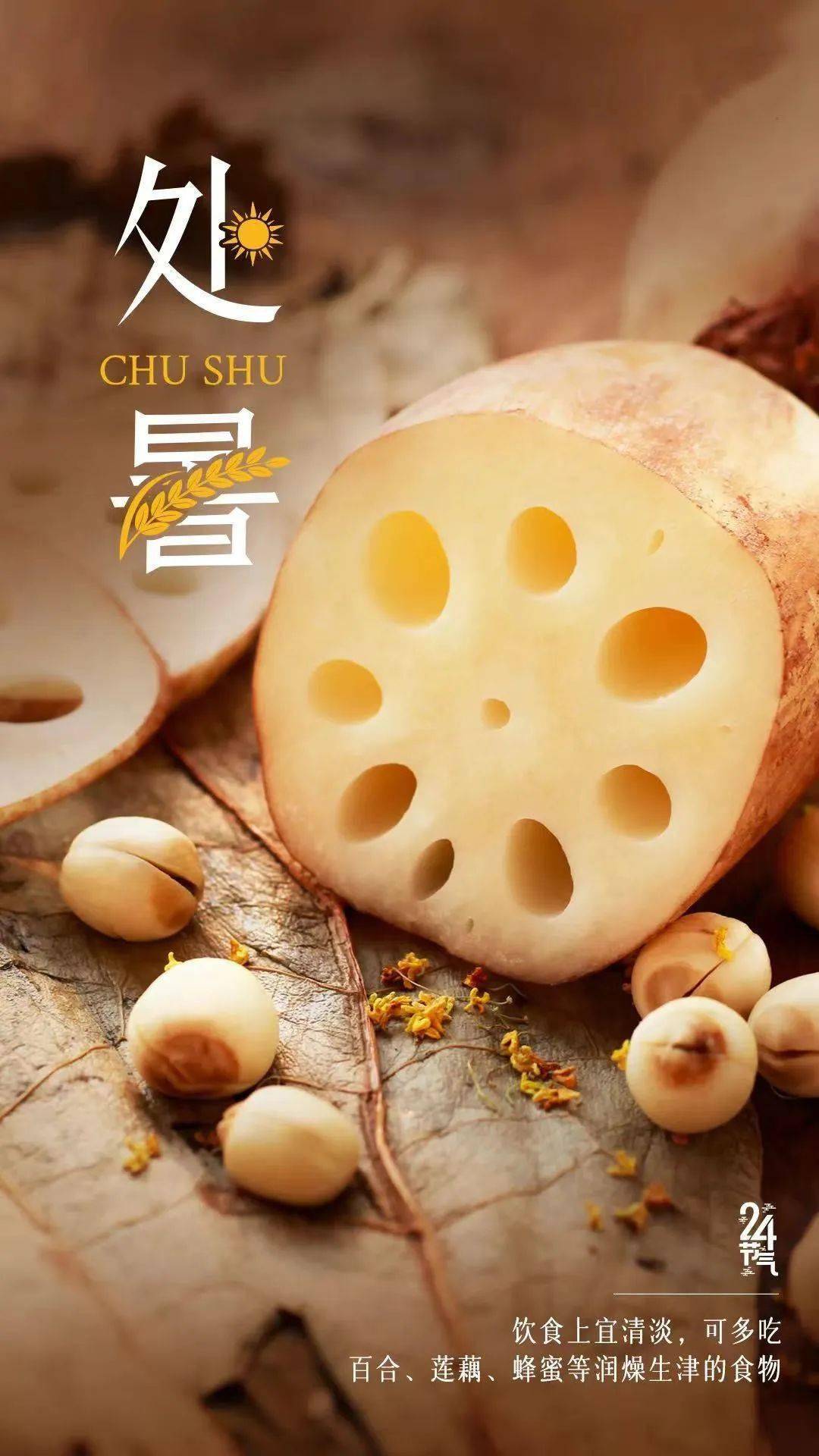 今日处暑|饮食宜清淡_桐庐_服务_浙江