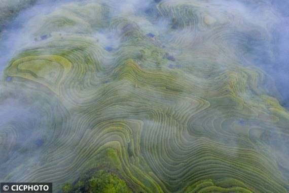 贵州从江：“大地指纹” 云雾缭绕