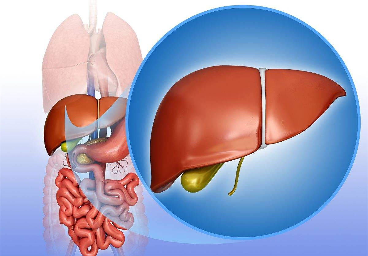 肿瘤科马大军:原发性肝癌和继发性肝癌有何不同?_肝脏_发病率_治疗