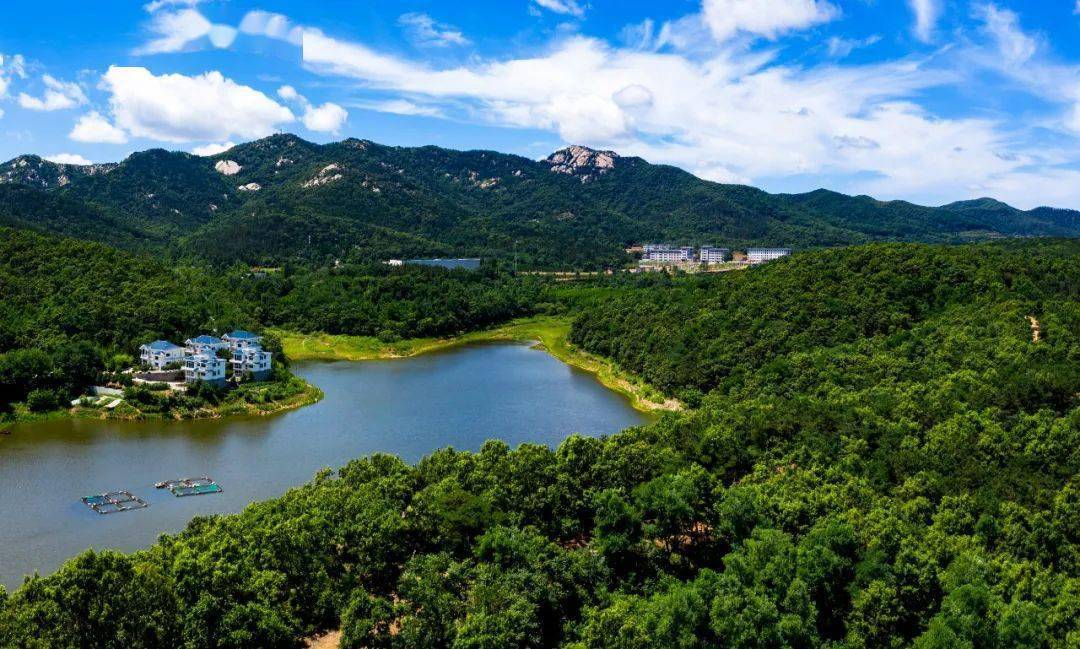 山水总关情——山东省著名画家红色胶东行主题画展采风_天福山_理琪