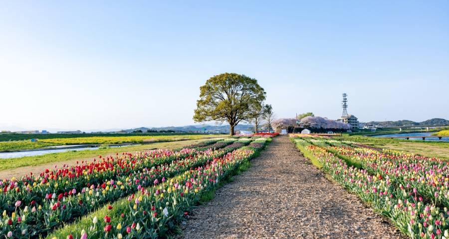 家电厂商的过冬法则其实很明确-家电圈官网