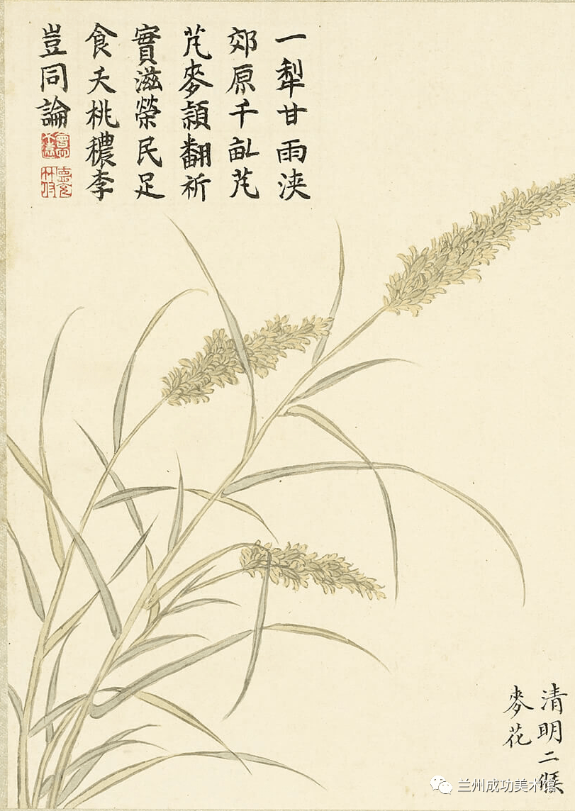 诗画阅微】董诰的《二十四番花信风图》_明一候_书画_宣传