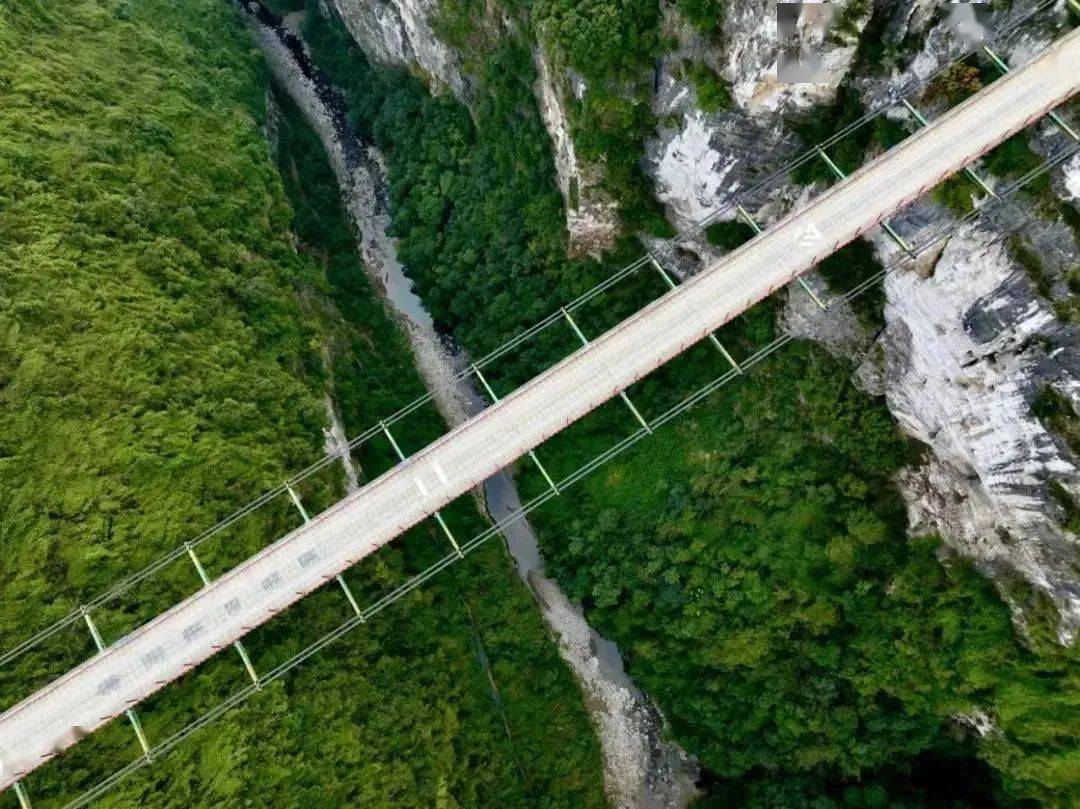 渝湘高速索道桥!200米高空上演"走钢丝"_建设_桥面_施工