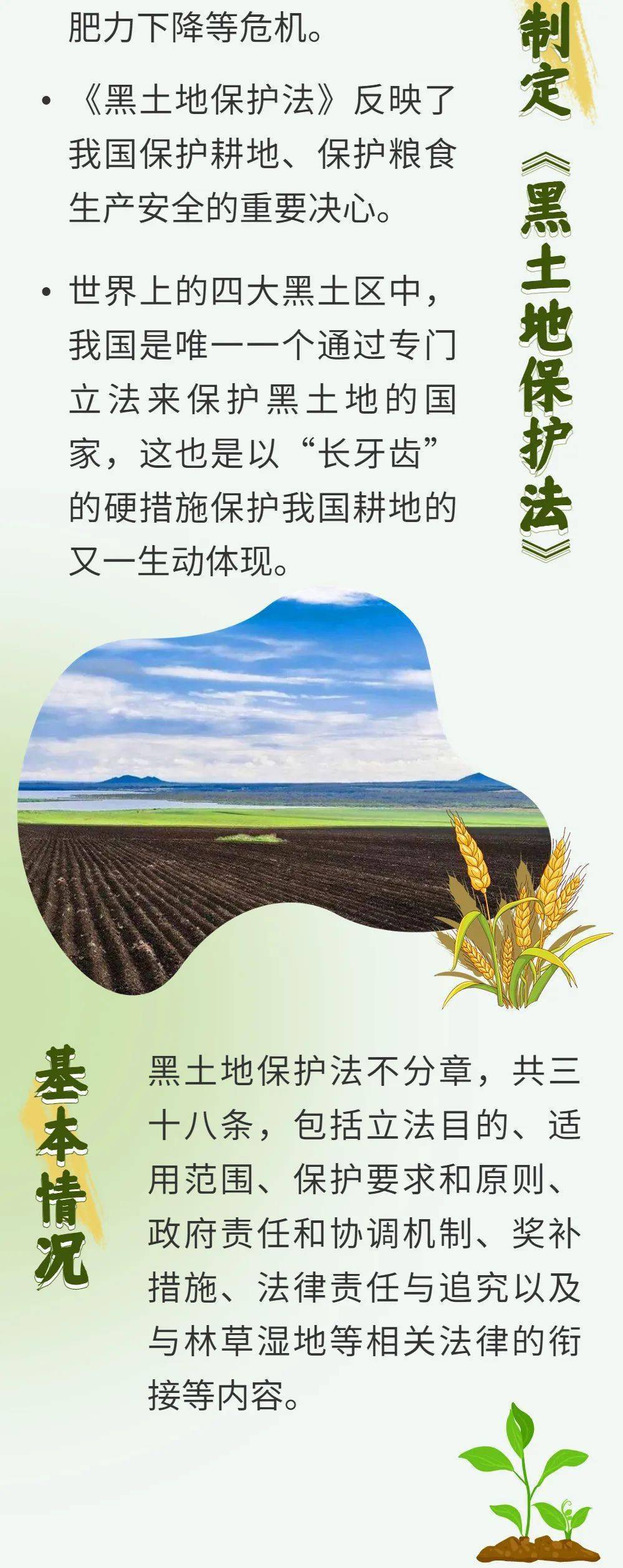 一图读懂 | 《黑土地保护法》_保障_来源_法治