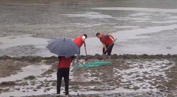 公园回应为抓怪鱼抽干湖水