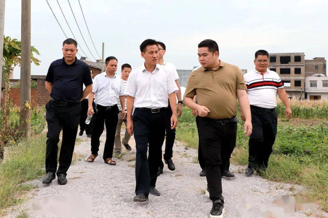 桂平金桂田园综合体配套设施项目新进展_建设_活动_部门