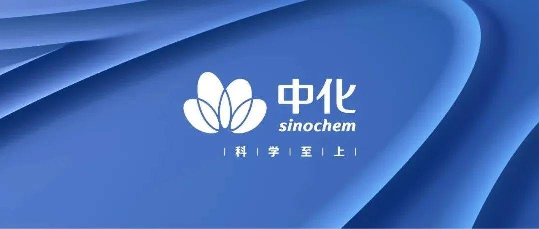中国中化控股有限责任公司主要领导调整_中央组织部_李凡荣_宁高