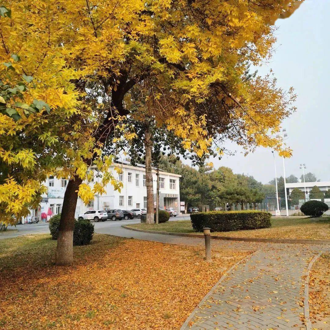 【建议收藏】萌新入学攻略 | 情定北服,相约北校区_北京站_教学_服装