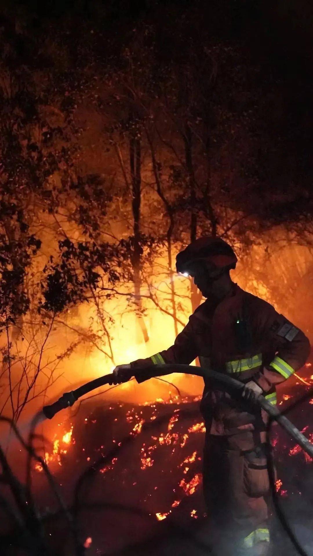熊熊烈火中最坚毅的逆行背影璧山森林火灾现场,森林消防队员肩抗水带