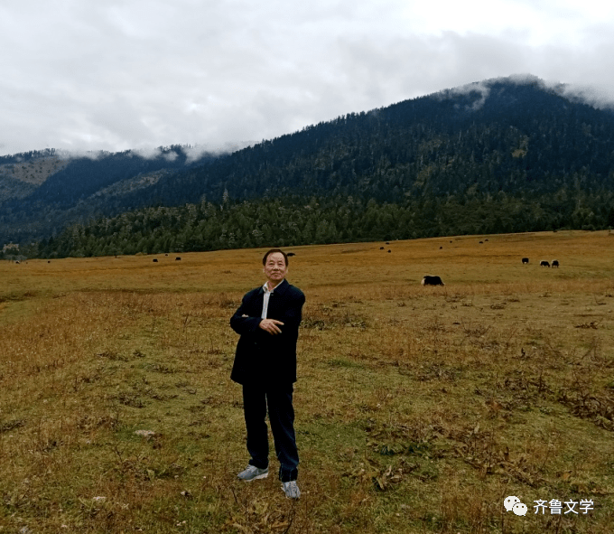 当代诗人‖【北野诗选】_齐鲁_高原_生命