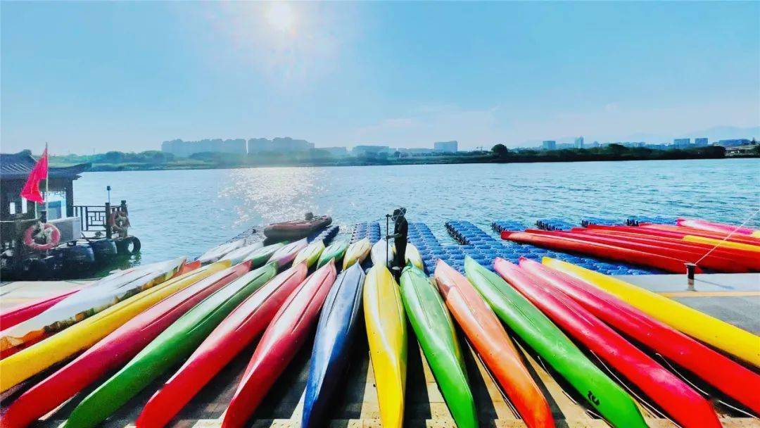 劈波踏浪五彩的桨板和皮划艇在岸上排成一列在信安湖畔的四喜亭码头边