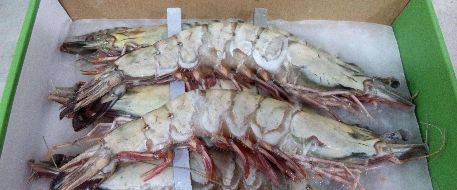 在适合细菌生长的时候,就很可能出现发芽或者是发霉的现象.