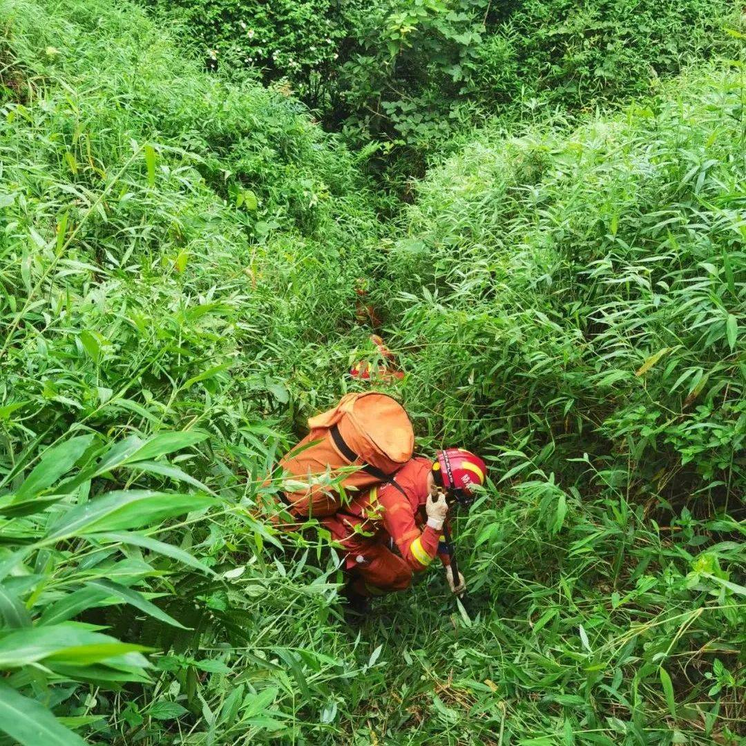 中山一女子爬山遇险，消防救援人员爬水管营救