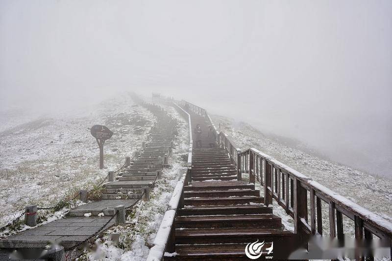 全国多地悄然降下第一场雪