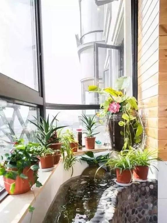 阳台装修空出2平米,设计成阳台鱼池,转运聚财完美炫爆朋友圈_鱼儿