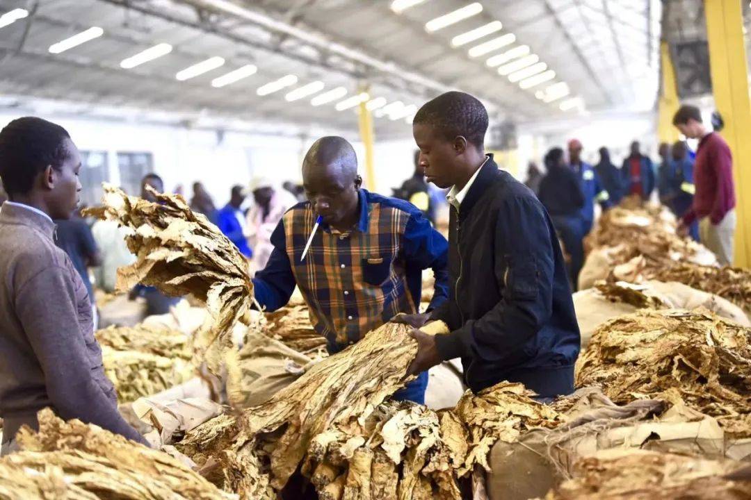 因为这里的矿石种类太多了而不会讨论有什么矿石以至于投资者只会讨