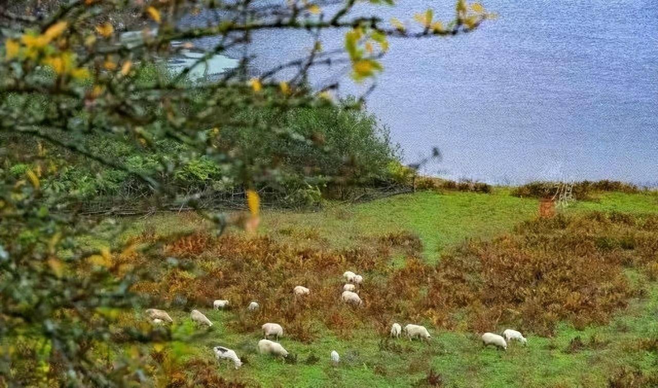 「茨格达海子」隐匿深山的世外桃源